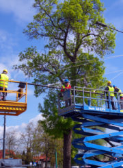 Instalacje i sieci elektryczne, alarmowe i teletechniczne, ELMAX Tychy